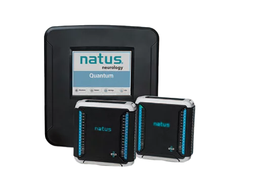 EEG LTM Quantum
